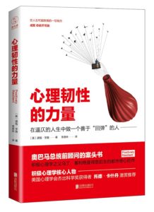 《心理韧性的力量》[美]道格·亨施（作者）-pdf+epub+mobi+azw3