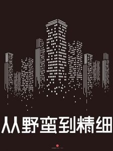 《从野蛮到精细：2012-2021中国房地产未来十年（中国故事）》罗兰贝格管理咨询公司-epub+mobi+azw3+pdf