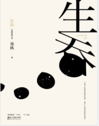 《生吞》郑执mobi+epub+azw3+pdf+txt+word电子书下载