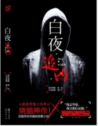 《白夜追凶》mobi+epub+azw3+pdf+txt+word电子书下载