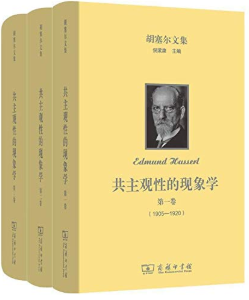 《胡塞尔文集：共主观性的现象学(全三卷）》埃德蒙德·胡塞尔mobi+epub+azw3+pdf+txt+word电子书下载