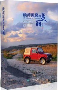 《颠沛流离的美丽》芮欢欢（作者）-epub+azw3