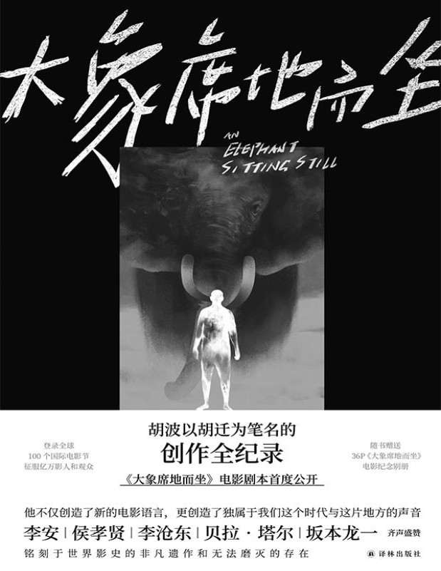 《大象席地而坐》胡迁_导演胡波享誉世界的非凡遗作，李安李沧东极力盛赞_文字版_pdf电子书下载