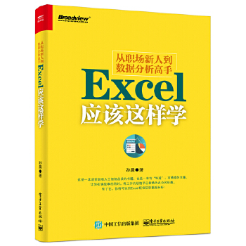 职场新人到数据分析高手-Excel应该这样学(pdf+txt+epub+azw3+mobi电子书在线阅读下载)