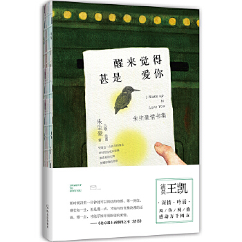 醒来觉得甚是爱你(pdf+txt+epub+azw3+mobi电子书在线阅读下载)