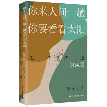 你来人间一趟，你要看看太阳(pdf+txt+epub+azw3+mobi电子书在线阅读下载)