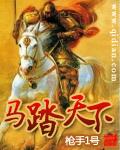 《马踏天下》枪手1号- epub