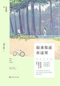 《辛夷坞作品集（5本）》（许我向你看，原来你还在这里，致我们终将逝去的青春，山月不知心底事，我在回忆里等你） -epub