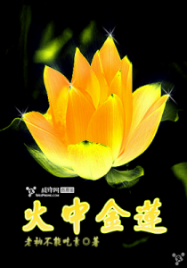 《火中金莲》老衲不能吃素- epub