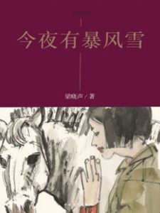 《今夜有暴风雪》梁晓声-pdf+epub+mobi+azw3