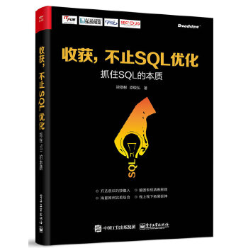 抓住SQL的本质(pdf+txt+epub+azw3+mobi电子书在线阅读下载)