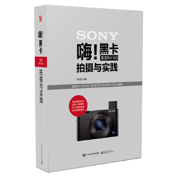 嗨!黑卡索尼RX100拍摄与实践(pdf+txt+epub+azw3+mobi电子书在线阅读下载)