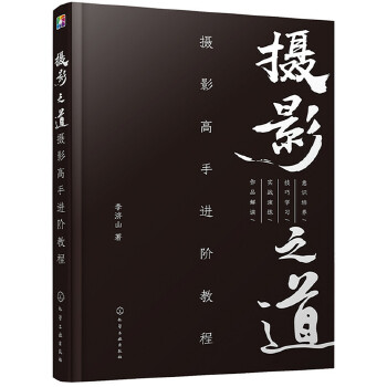 摄影高手进阶教程(pdf+txt+epub+azw3+mobi电子书在线阅读下载)