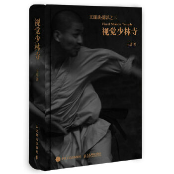 视觉少林寺(pdf+txt+epub+azw3+mobi电子书在线阅读下载)