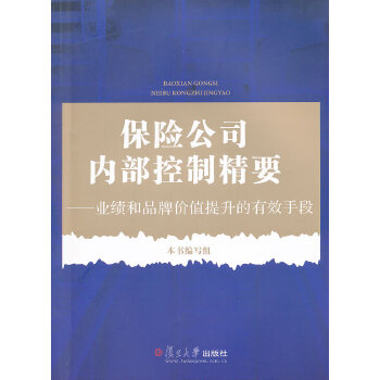 保险公司内部控制精要(pdf+txt+epub+azw3+mobi电子书在线阅读下载)