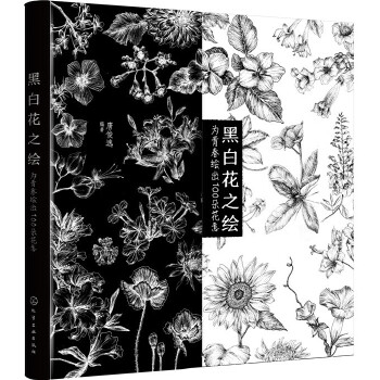 黑白花之绘：为青春绘出100朵花意(pdf+txt+epub+azw3+mobi电子书在线阅读下载)