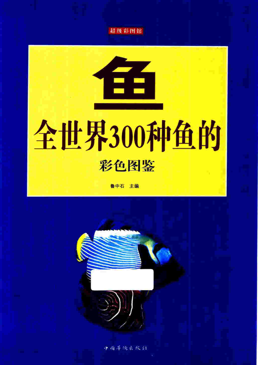 《鱼：全世界300种鱼的彩色图鉴》鲁中石 PDF电子书 全彩版 下载