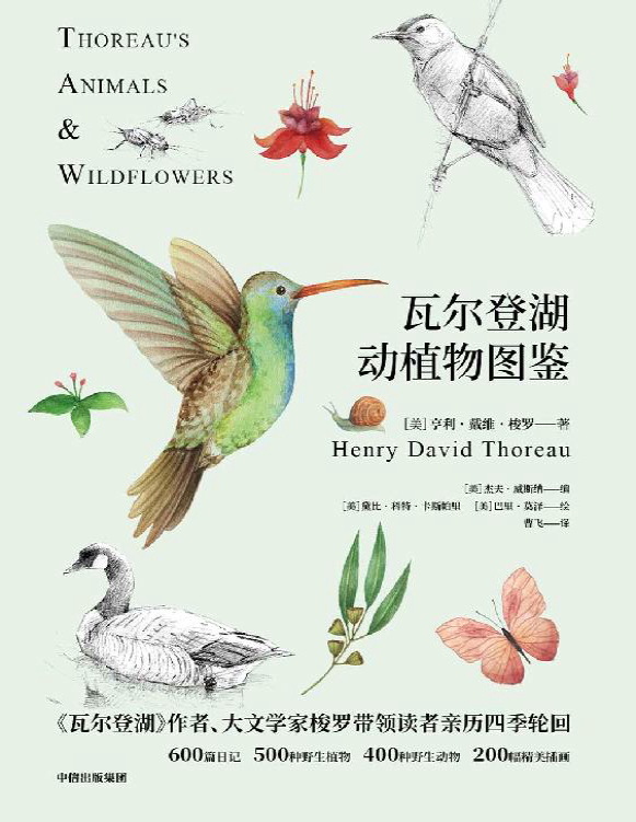 《瓦尔登湖动植物图鉴：动物篇+植物篇（2册）》亨利・戴维・梭罗_文字版_pdf电子书下载