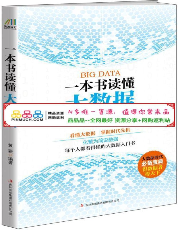 《一本书读懂大数据：每个人都看得懂的大数据入门书》黄颖_文字版_pdf电子书下载