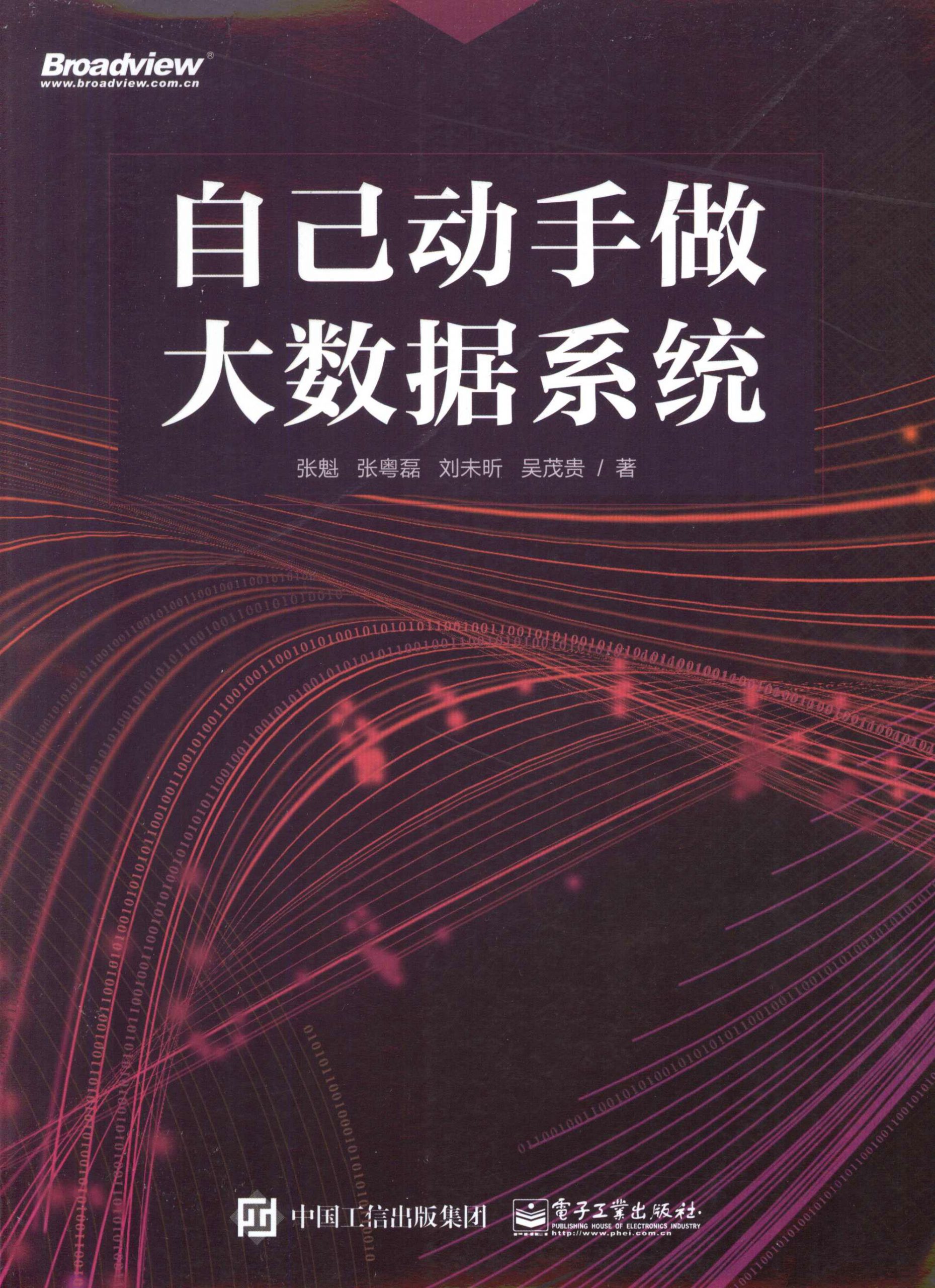 《自己动手做大数据系统》张魁 _扫描版_pdf电子书下载