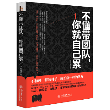 不懂带团队你就自己累(pdf+txt+epub+azw3+mobi电子书在线阅读下载)