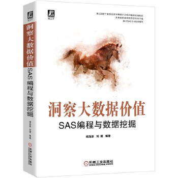 洞察大数据价值:SAS编程与数据挖掘(pdf+txt+epub+azw3+mobi电子书在线阅读下载)