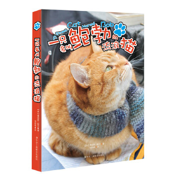 一只名叫鲍勃的流浪猫(pdf+txt+epub+azw3+mobi电子书在线阅读下载)