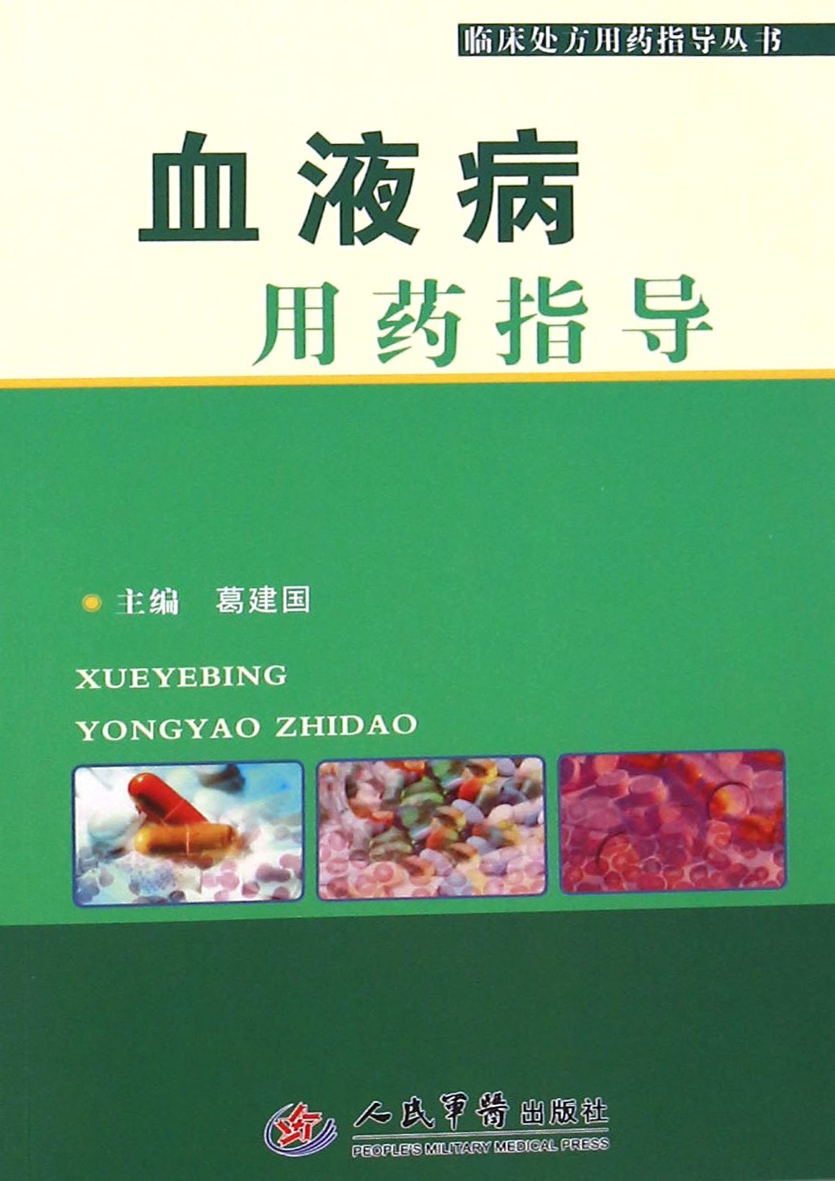 《血液病用药指导》葛建国文字版PDF电子书免费下载