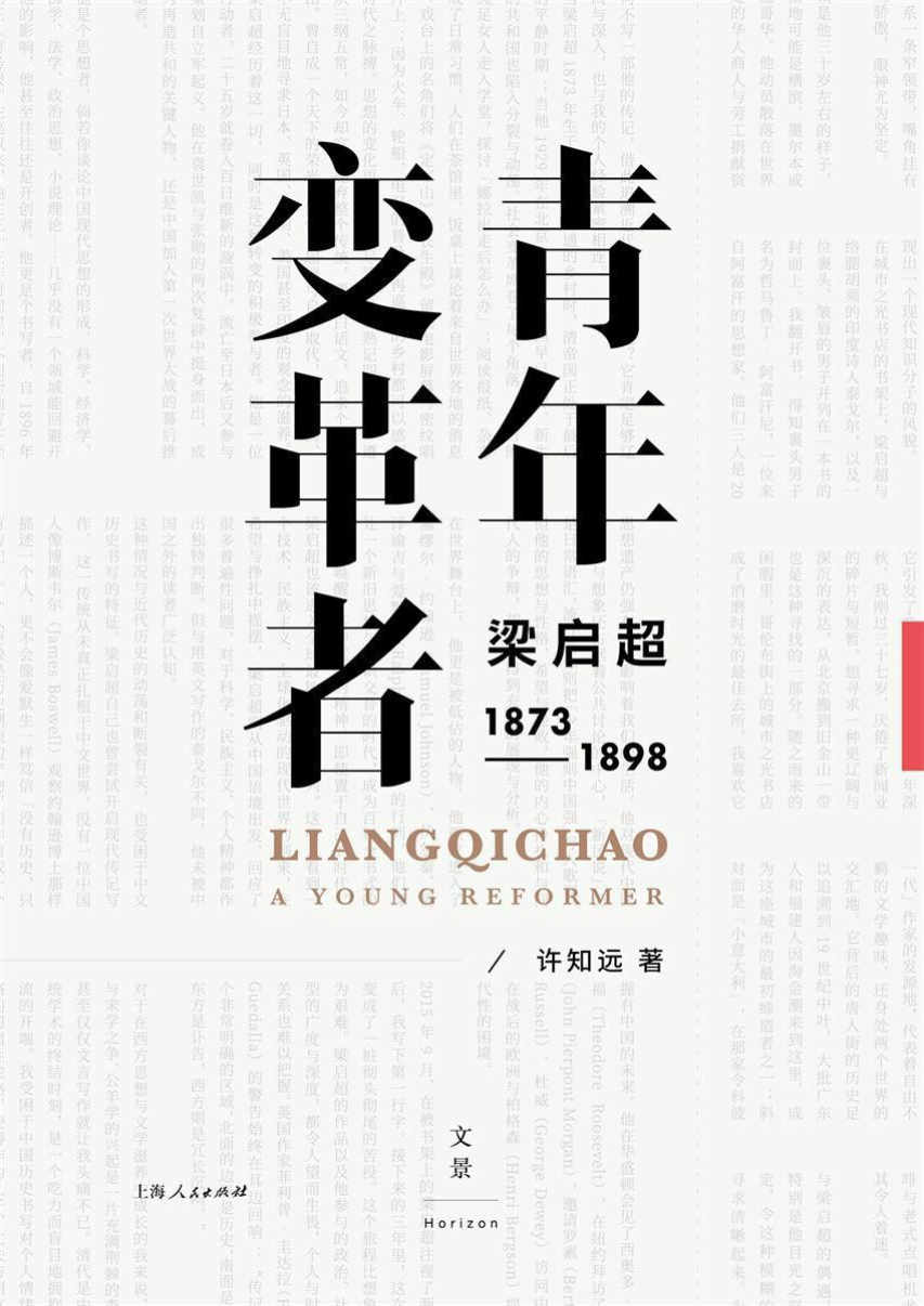 《青年变革者》许知远  文字版_PDF电子书_下载