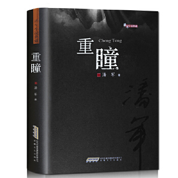 潘军小说典藏·重瞳(pdf+txt+epub+azw3+mobi电子书在线阅读下载)