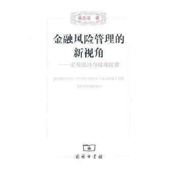 金融风险管理的新视角(pdf+txt+epub+azw3+mobi电子书在线阅读下载)