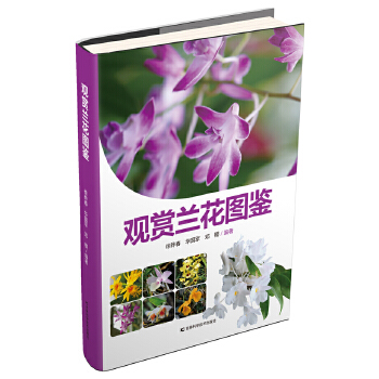 观赏兰花图鉴(pdf+txt+epub+azw3+mobi电子书在线阅读下载)