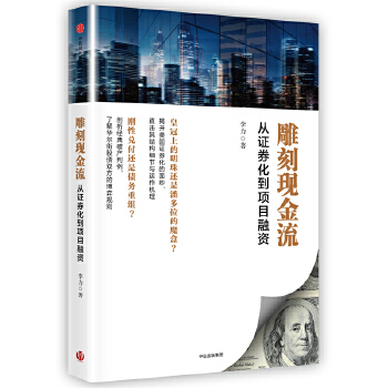 雕刻现金流：从证券化到项目融资(pdf+txt+epub+azw3+mobi电子书在线阅读下载)