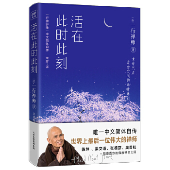 活在此时此刻(pdf+txt+epub+azw3+mobi电子书在线阅读下载)