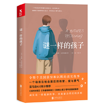 谜一样的孩子(pdf+txt+epub+azw3+mobi电子书在线阅读下载)