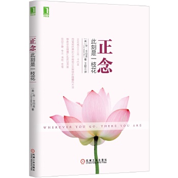 正念(pdf+txt+epub+azw3+mobi电子书在线阅读下载)