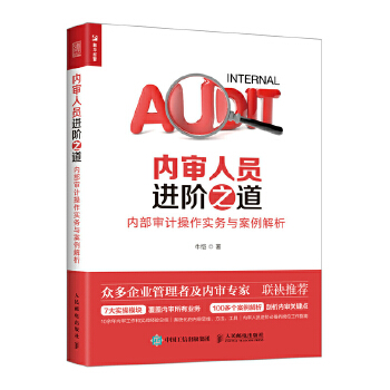 内审人员进阶之道 内部审计操作实务与案例解析(pdf+txt+epub+azw3+mobi电子书在线阅读下载)