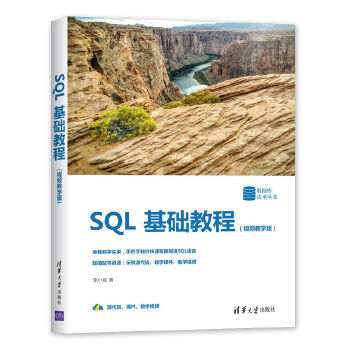 SQL基础教程(pdf+txt+epub+azw3+mobi电子书在线阅读下载)