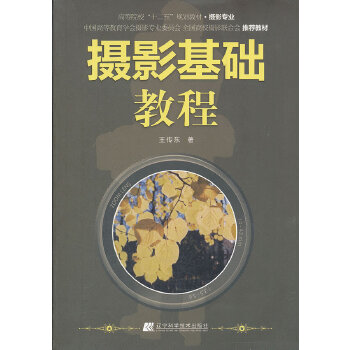 摄影基础教程(pdf+txt+epub+azw3+mobi电子书在线阅读下载)