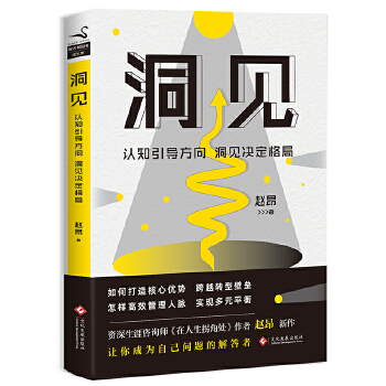 洞见(pdf+txt+epub+azw3+mobi电子书在线阅读下载)