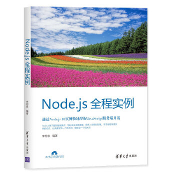 Node.js全程实例(pdf+txt+epub+azw3+mobi电子书在线阅读下载)