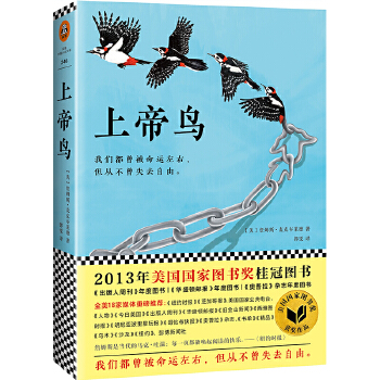 上帝鸟(pdf+txt+epub+azw3+mobi电子书在线阅读下载)