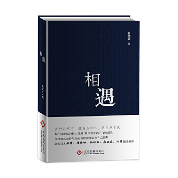 相遇(pdf+txt+epub+azw3+mobi电子书在线阅读下载)