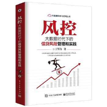 风控:大数据时代下的信贷风险管理和实践(pdf+txt+epub+azw3+mobi电子书在线阅读下载)