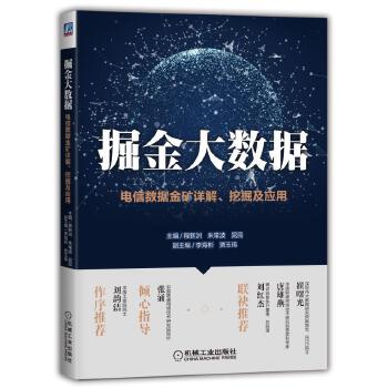 掘金大数据：电信数据金矿详解、挖掘及应用(pdf+txt+epub+azw3+mobi电子书在线阅读下载)