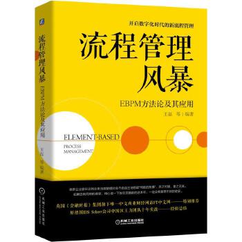 流程管理风暴:EBPM方法论及其应用(pdf+txt+epub+azw3+mobi电子书在线阅读下载)