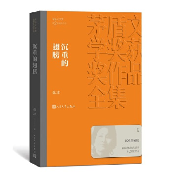 沉重的翅膀(pdf+txt+epub+azw3+mobi电子书在线阅读下载)