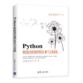 Python数据预处理技术与实践(pdf+txt+epub+azw3+mobi电子书在线阅读下载)