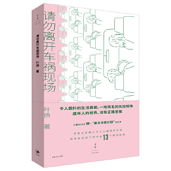 请勿离开车祸现场(pdf+txt+epub+azw3+mobi电子书在线阅读下载)