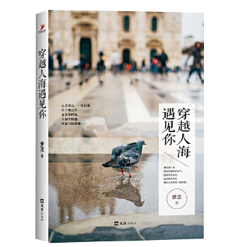 穿越人海遇见你(pdf+txt+epub+azw3+mobi电子书在线阅读下载)